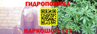прущие грибы Шебекино