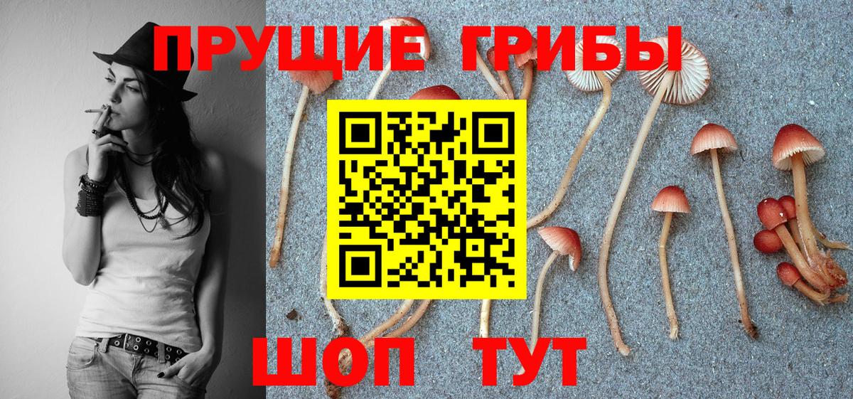 Бугуруслан  Галлюциногенные грибы прущие грибы  Вход с VPN 